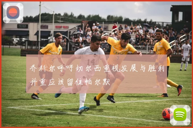 乔科尔呼吁切尔西重视发展与胜利并重应该留住帕尔默